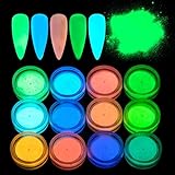 QIMEIYA 12 Colors Neon Colors Phosphorescent Luminescent Fluorescent Luminous Powder Glow In Dark...