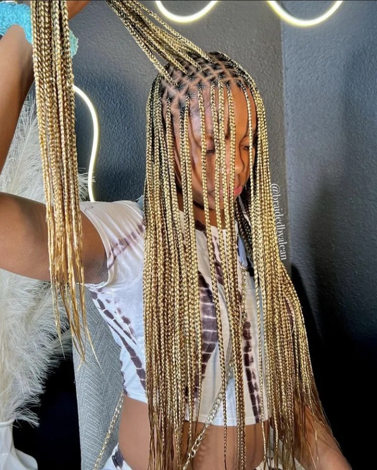 honey blonde mixed color knotless braids