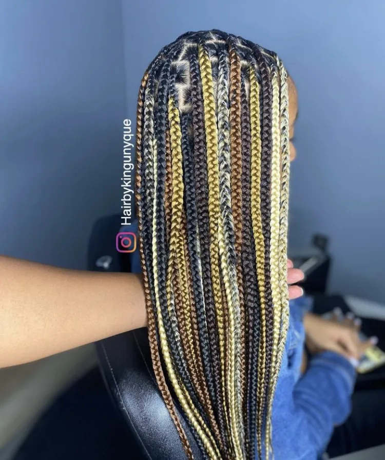 shades of brown mixed colour knotless braids