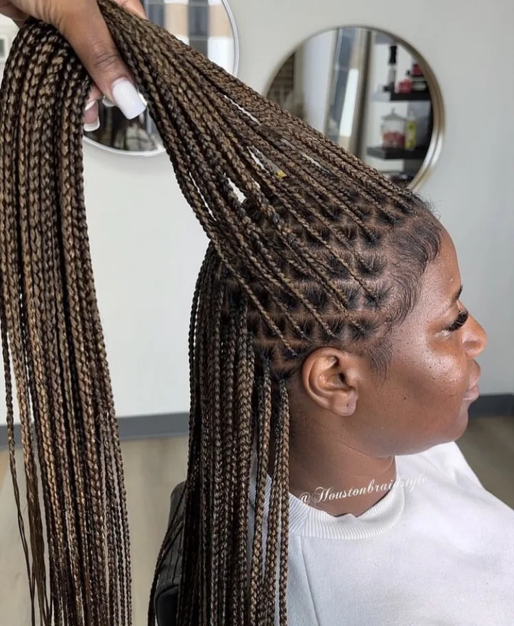 brown mixed color braids