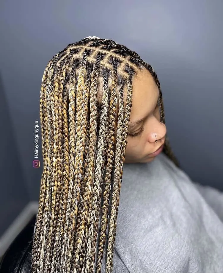 honey blonde mixed colour braids