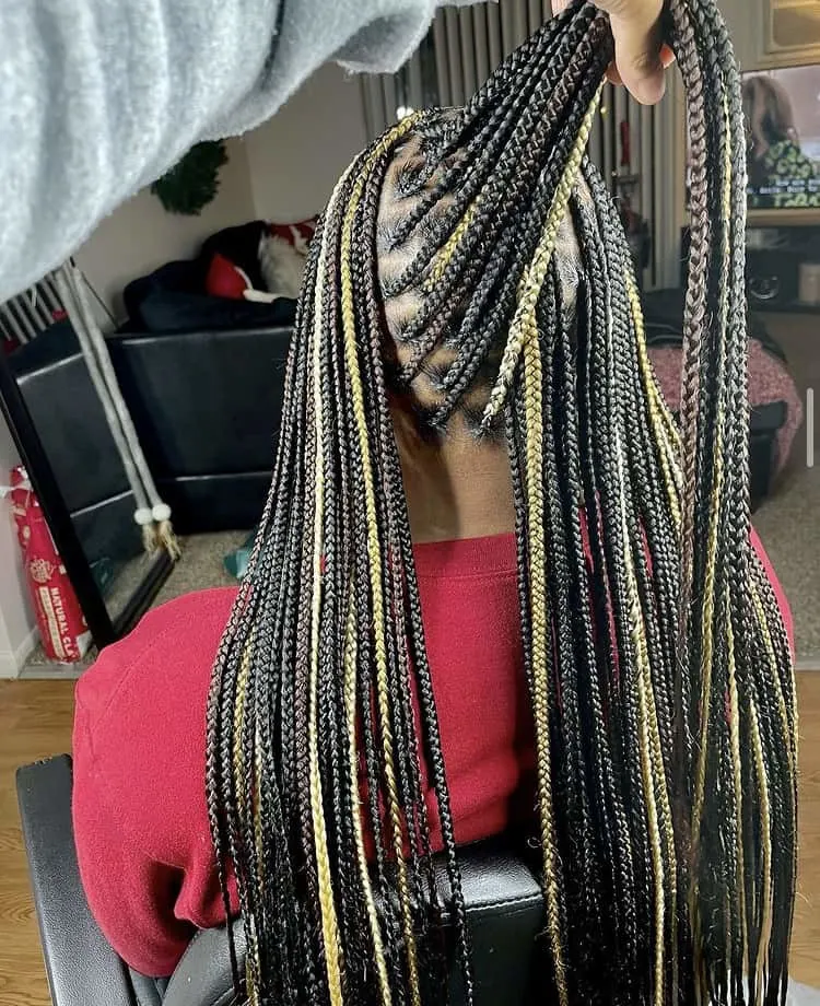 mixed colour braids