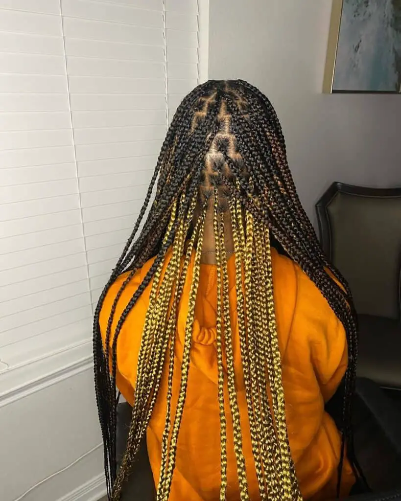 color 27 peekaboo braids 