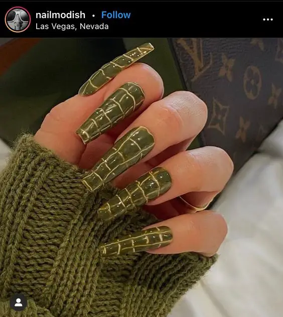 The best crocodile nails