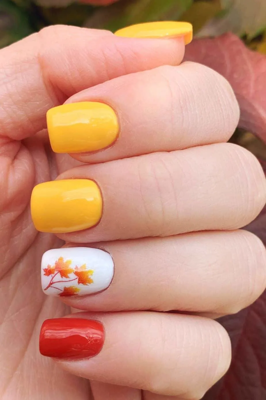 Autumnal Colors with Leaf Design