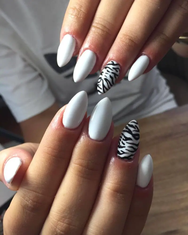 The top zebra nails including zebra nail designs, zebra nail art, and more animal print nails