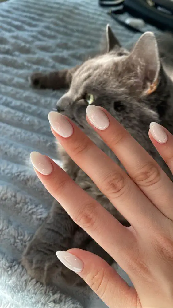 Clean white nails to copy